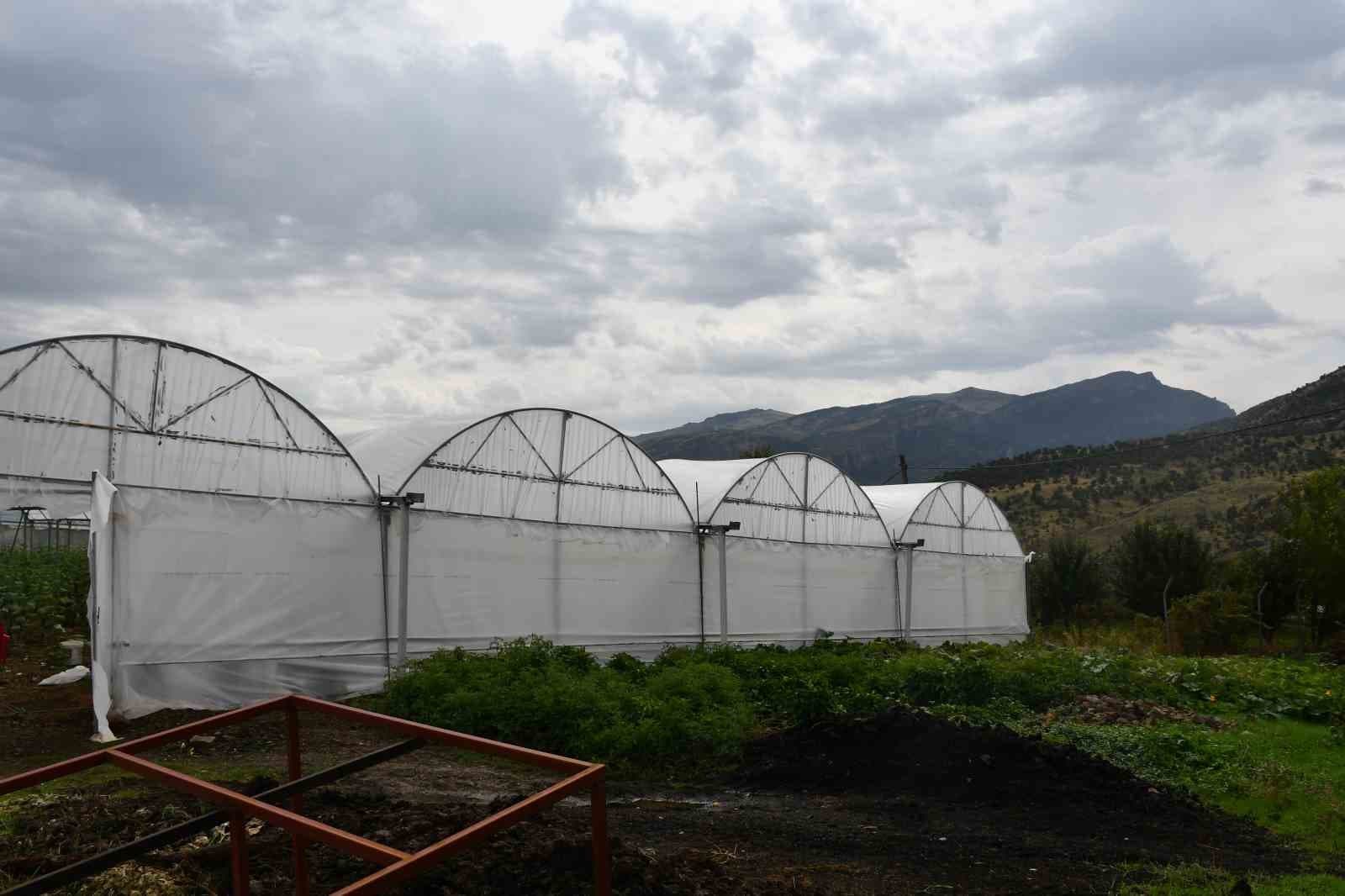 Şırnak'ta Devlet Destekli Seralar Ailelere Yeni Gelir Kapısı Oldu