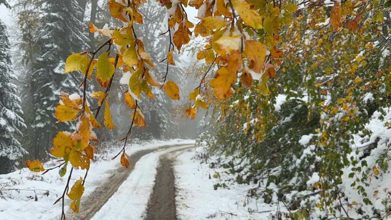 Safranbolu'da Sezonun İlk Karı Ormanları Beyaza Bürüdü
