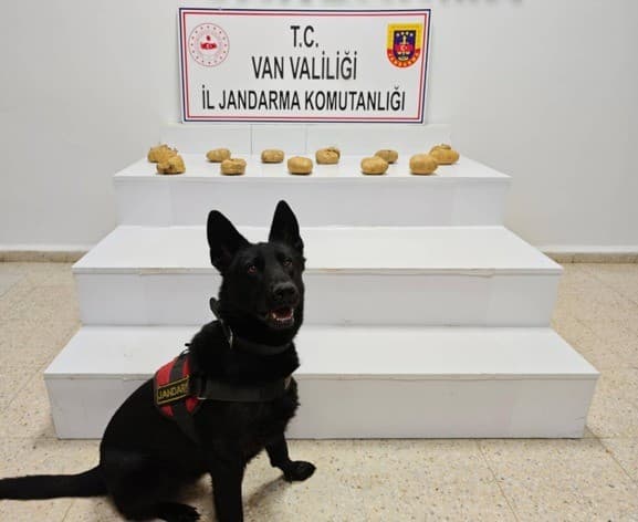 Başkale'de Operasyon: 11 Kilogramdan Fazla Toz Esrar Ele Geçirildi