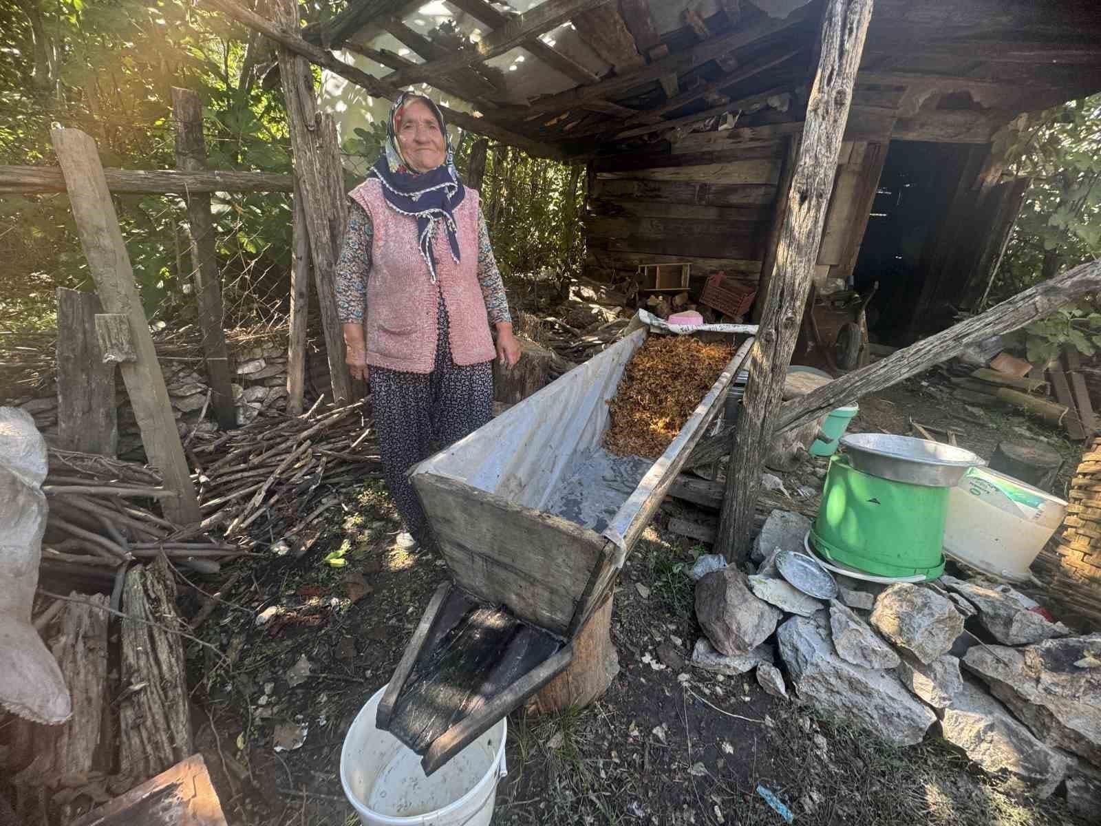 Toroslar'da Asırlık Gelenek: Meşe Külüyle Pekmez Yapımı
