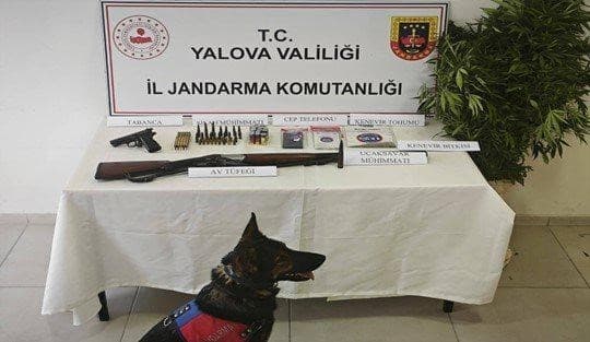 Yalova'da Kenevir ve Silah Operasyonu