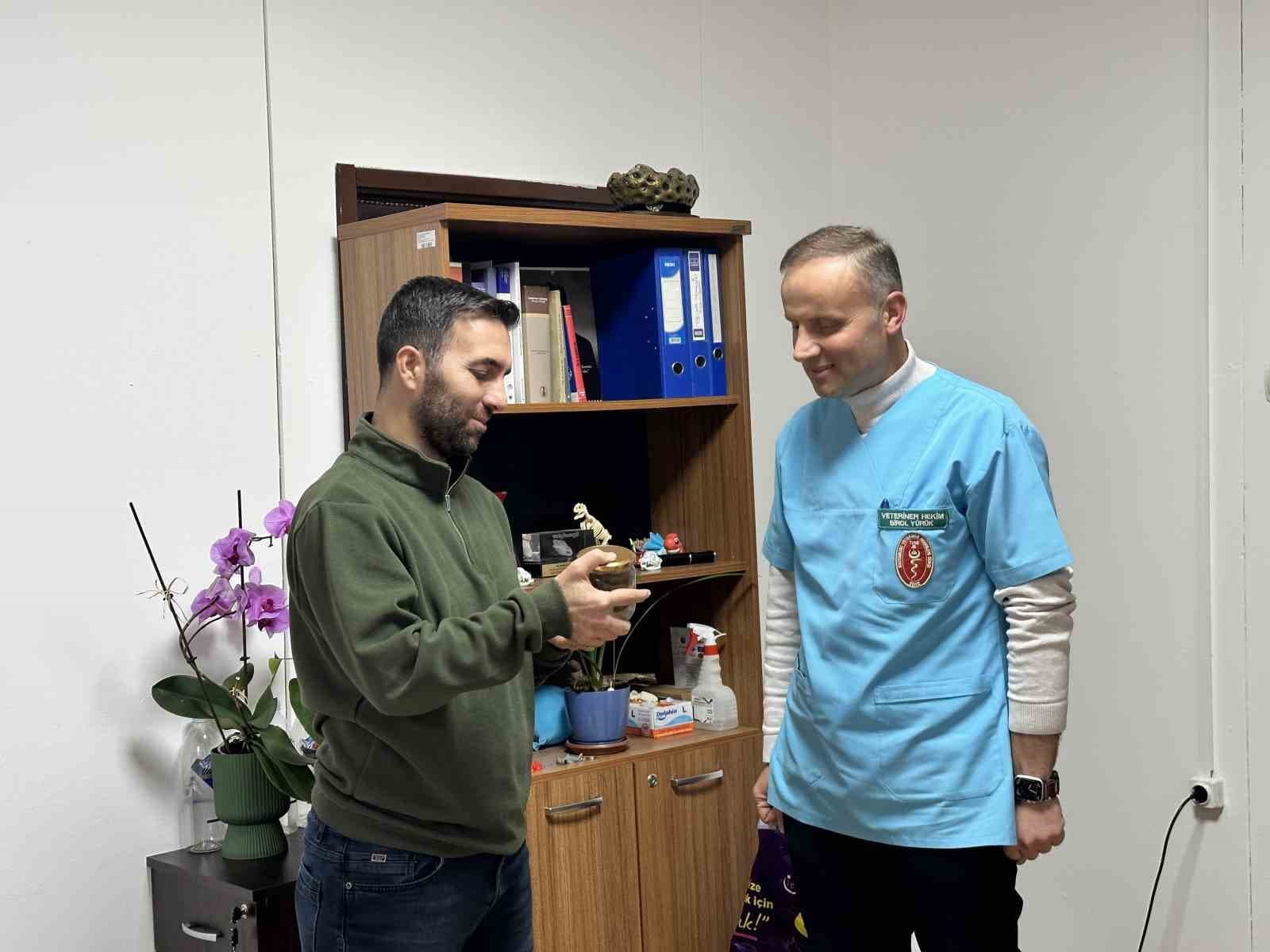 Ölmek üzere olan ineğin boğazından çıkartılan armut, üniversite öğrencilerine anlatılacak