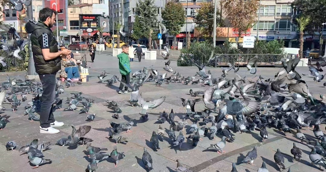 Bir yerde kış bir yerde yaz