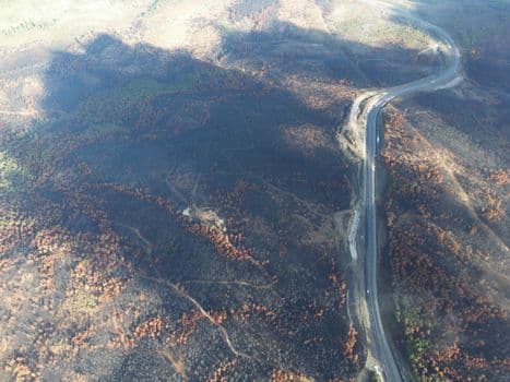 Kütahya'da Orman Yangını Havadan ve Karadan Müdahaleyle Söndürüldü
