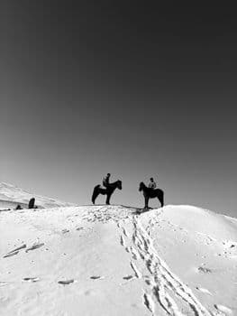 Kars'ta Geleneksel Rahvan At Yarışları Heyecanı
