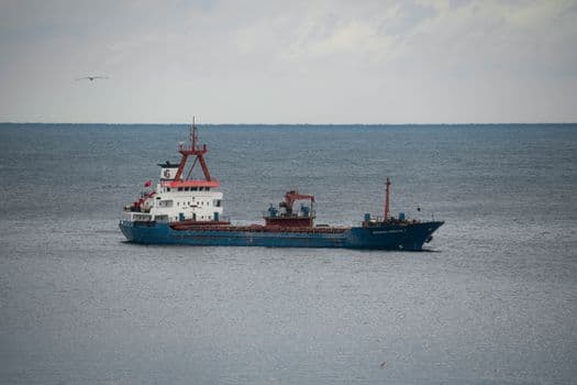 Rusya Karadeniz'de Ukrayna Kargo Gemilerini Hedef Aldı