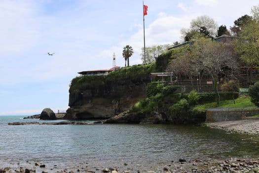 Trabzon'da Kaya Düşmesi: Bir Kişi Yaralandı