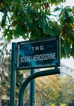Bosna Hersek İslam Birliği'nin Yeni Başkanı Prof. Dr. Nedzad Grabus Seçildi