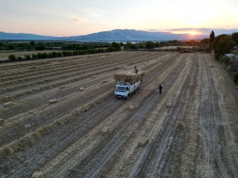 Manavgat'ta Saman Yüklü Tır Devrildi: 1 Yaralı