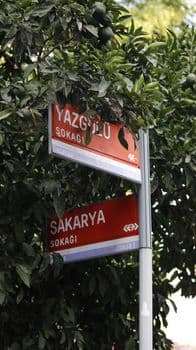 Sakarya'da 'Sokaklar Güvende' Operasyonu: 6 Kişi Yakalandı