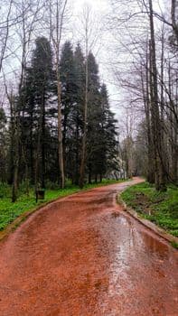 Bursa'da Şiddetli Yağış Toprak Kaymasına Yol Açtı
