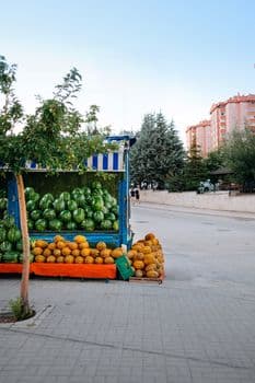 Ağaç kavununa benzeyen pomelo Karadeniz’de meyve verdi