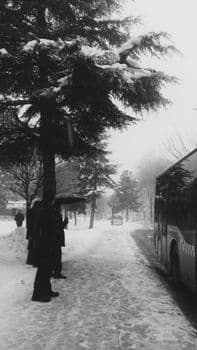 Muş’a mevsimin ilk karı yağdı