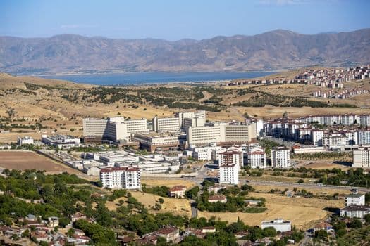 Beş dönümlük dağı tıbbi aromatik bitki bahçesine çevirdi